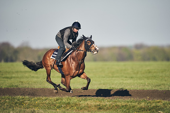 CAMBRIDGE-ROAD-GALLOPS-15TH-APRIL-DJ-_DJ94707-0730