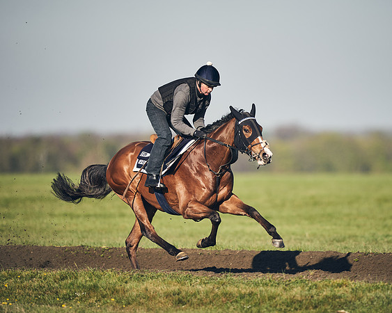CAMBRIDGE-ROAD-GALLOPS-15TH-APRIL-DJ-_DJ94708-0731