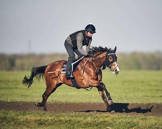 CAMBRIDGE-ROAD-GALLOPS-15TH-APRIL-DJ-_DJ94709-0732