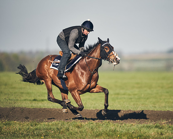 CAMBRIDGE-ROAD-GALLOPS-15TH-APRIL-DJ-_DJ94712-0735
