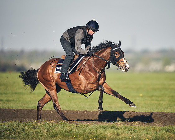 CAMBRIDGE-ROAD-GALLOPS-15TH-APRIL-DJ-_DJ94713-0736