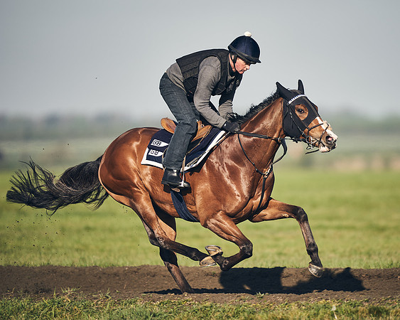 CAMBRIDGE-ROAD-GALLOPS-15TH-APRIL-DJ-_DJ94717-0740