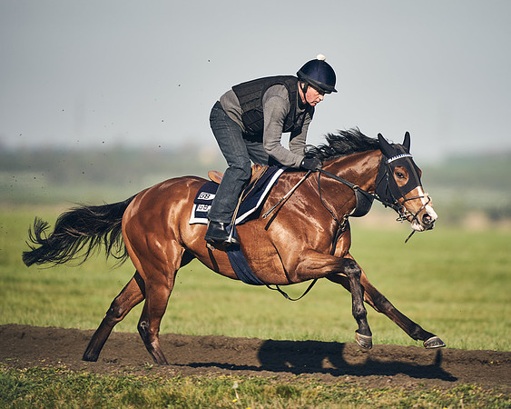 CAMBRIDGE-ROAD-GALLOPS-15TH-APRIL-DJ-_DJ94718-0741