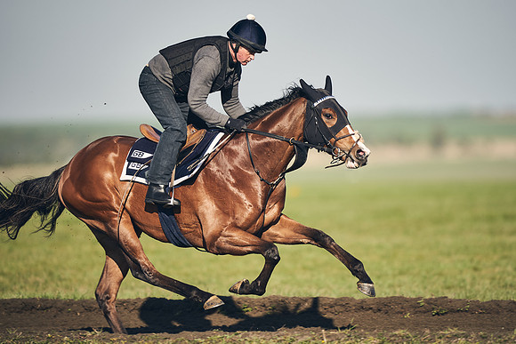 CAMBRIDGE-ROAD-GALLOPS-15TH-APRIL-DJ-_DJ94722-0745