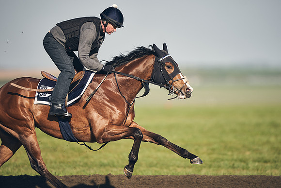 CAMBRIDGE-ROAD-GALLOPS-15TH-APRIL-DJ-_DJ94727-0750