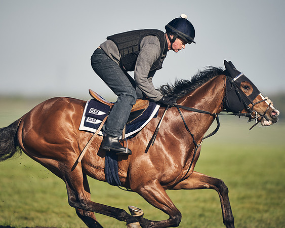 CAMBRIDGE-ROAD-GALLOPS-15TH-APRIL-DJ-_DJ94731-0754