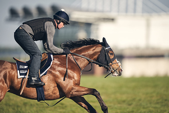 CAMBRIDGE-ROAD-GALLOPS-15TH-APRIL-DJ-_DJ94737-0760