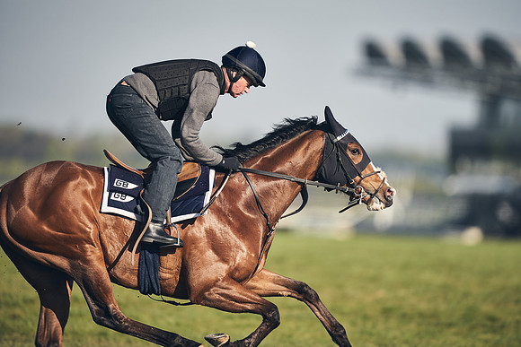 CAMBRIDGE-ROAD-GALLOPS-15TH-APRIL-DJ-_DJ94736-0759