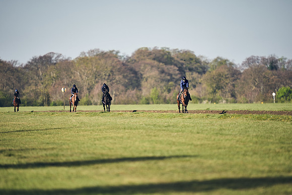 CAMBRIDGE-ROAD-GALLOPS-15TH-APRIL-DJ-_DJ94758-0781