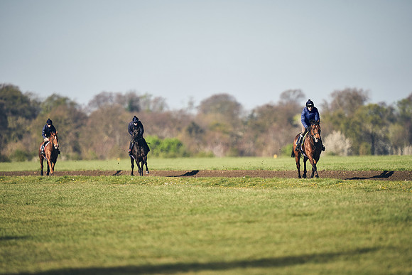 CAMBRIDGE-ROAD-GALLOPS-15TH-APRIL-DJ-_DJ94763-0786