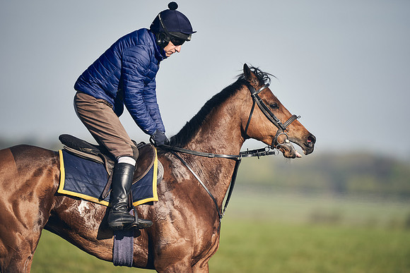 CAMBRIDGE-ROAD-GALLOPS-15TH-APRIL-DJ-_DJ94773-0796