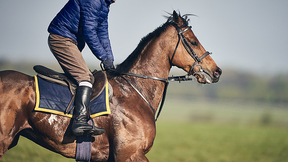 CAMBRIDGE-ROAD-GALLOPS-15TH-APRIL-DJ-_DJ94774-0797