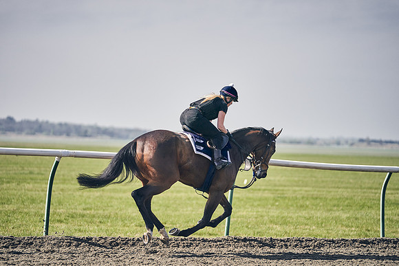 GEORGE-BOUGHEY-RACING-DJ-3433