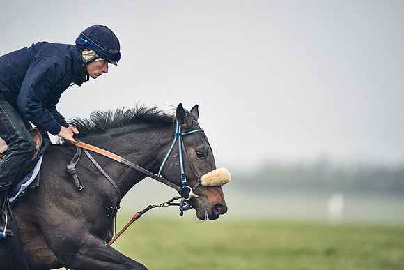 HORSES-IN-TRAINING-18TH-APR-DJ-0067