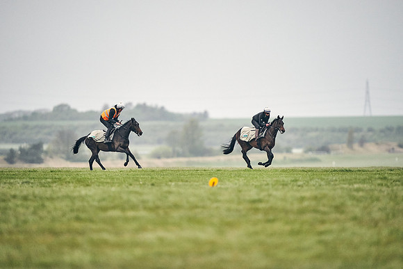 HORSES-IN-TRAINING-18TH-APR-DJ-0077