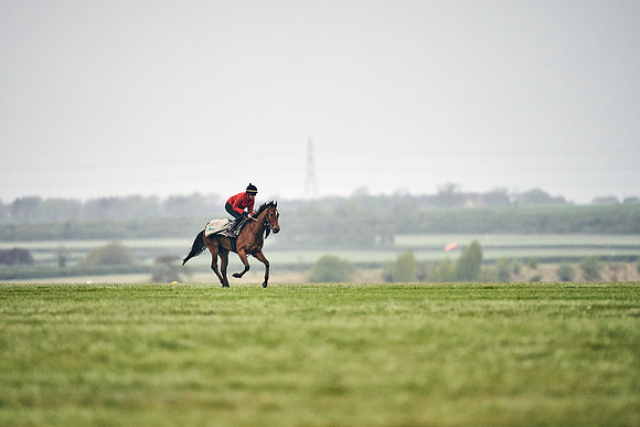 HORSES-IN-TRAINING-18TH-APR-DJ-0084