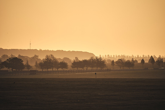 NEWMARKET-GALLOPS-22nd-APRIL-DJ-2123