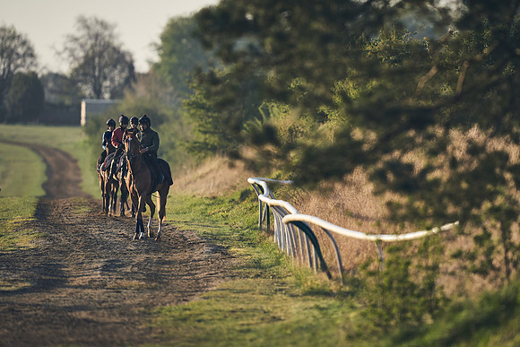 NEWMARKET-GALLOPS-22nd-APRIL-DJ-2170