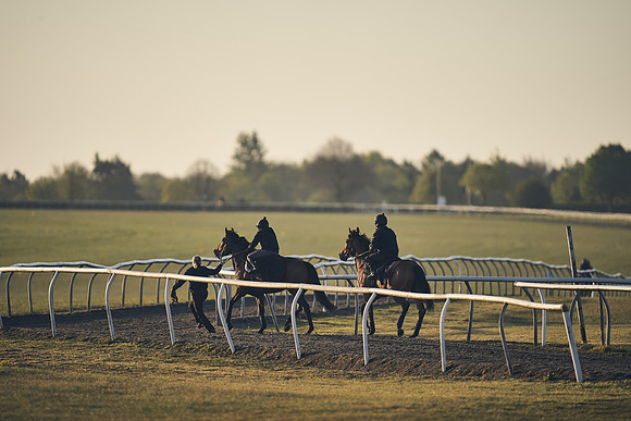 NEWMARKET-GALLOPS-22nd-APRIL-DJ-2160