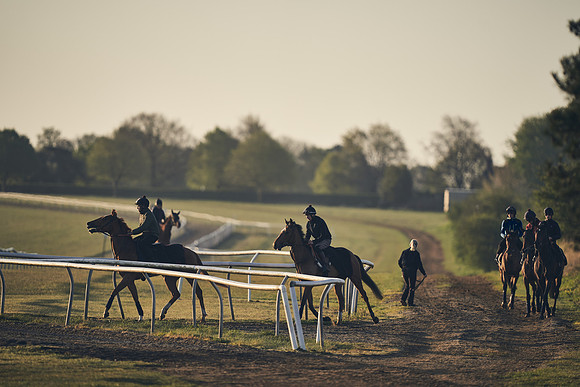 NEWMARKET-GALLOPS-22nd-APRIL-DJ-2174