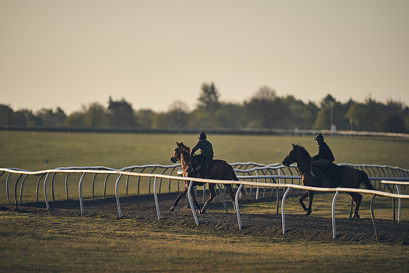 NEWMARKET-GALLOPS-22nd-APRIL-DJ-2176