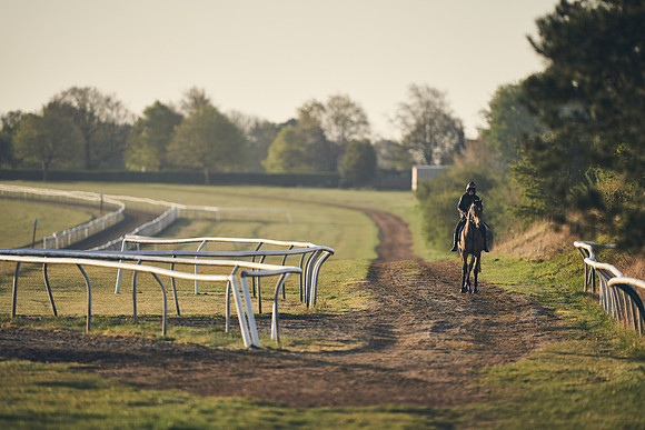 NEWMARKET-GALLOPS-22nd-APRIL-DJ-2203