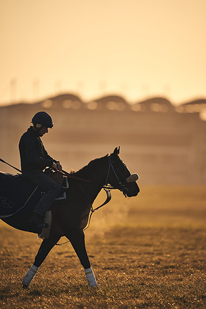 NEWMARKET-GALLOPS-22nd-APRIL-DJ-2249
