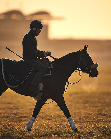 NEWMARKET-GALLOPS-22nd-APRIL-DJ-2257
