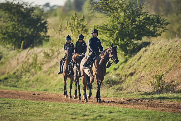 NEWMARKET-GALLOPS-22nd-APRIL-DJ-2273
