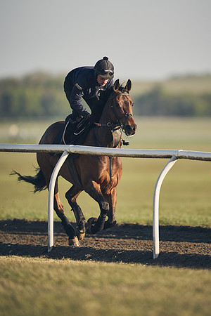 NEWMARKET-GALLOPS-22nd-APRIL-DJ-2282