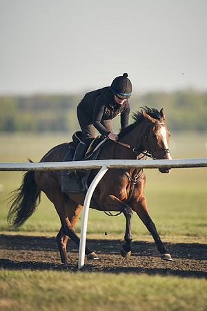 NEWMARKET-GALLOPS-22nd-APRIL-DJ-2291