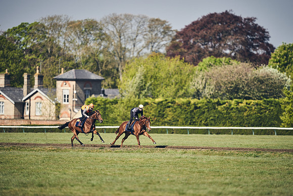 NEWMARKET-GALLOPS-22nd-APRIL-DJ-4144