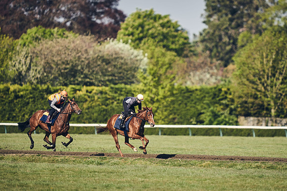 NEWMARKET-GALLOPS-22nd-APRIL-DJ-4149