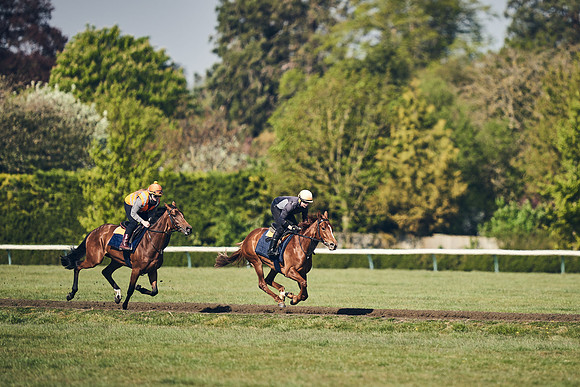NEWMARKET-GALLOPS-22nd-APRIL-DJ-4150