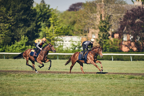 NEWMARKET-GALLOPS-22nd-APRIL-DJ-4155