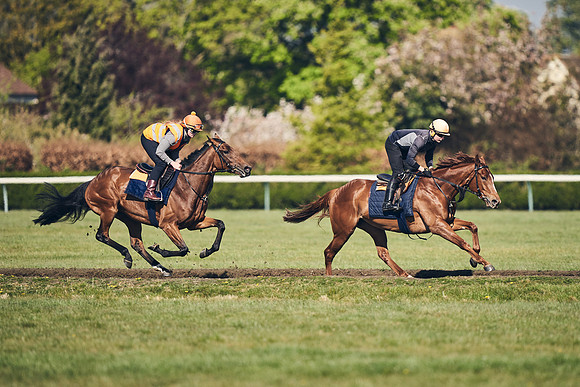 NEWMARKET-GALLOPS-22nd-APRIL-DJ-4158
