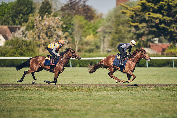 NEWMARKET-GALLOPS-22nd-APRIL-DJ-4161