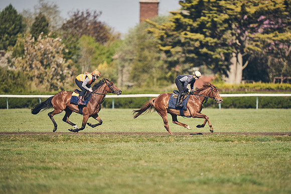 NEWMARKET-GALLOPS-22nd-APRIL-DJ-4162