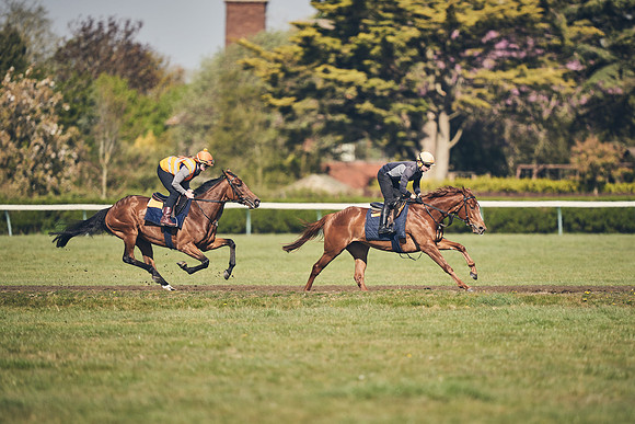 NEWMARKET-GALLOPS-22nd-APRIL-DJ-4163
