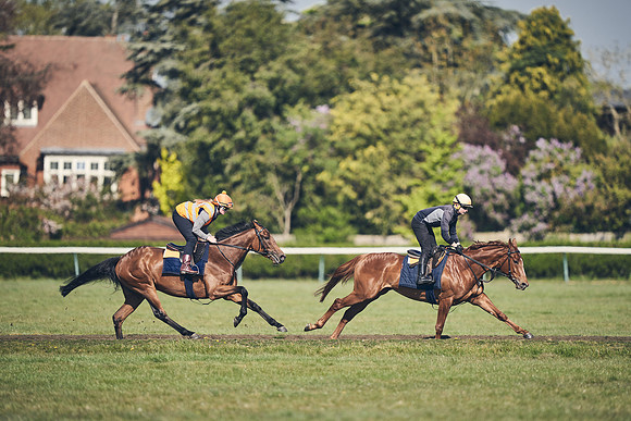 NEWMARKET-GALLOPS-22nd-APRIL-DJ-4166