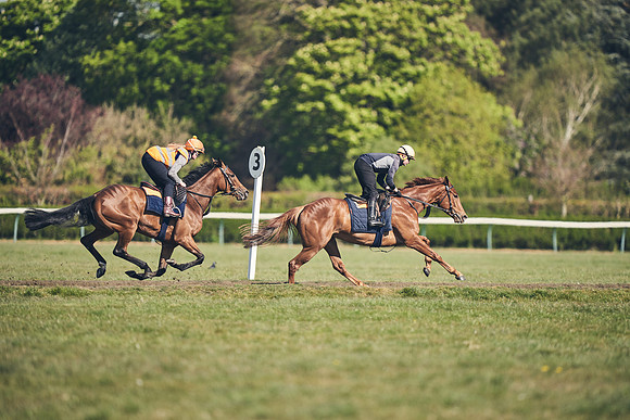 NEWMARKET-GALLOPS-22nd-APRIL-DJ-4186