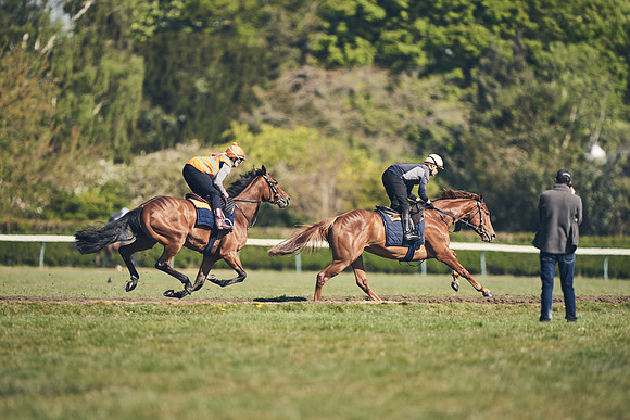 NEWMARKET-GALLOPS-22nd-APRIL-DJ-4202