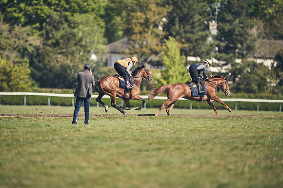 NEWMARKET-GALLOPS-22nd-APRIL-DJ-4208