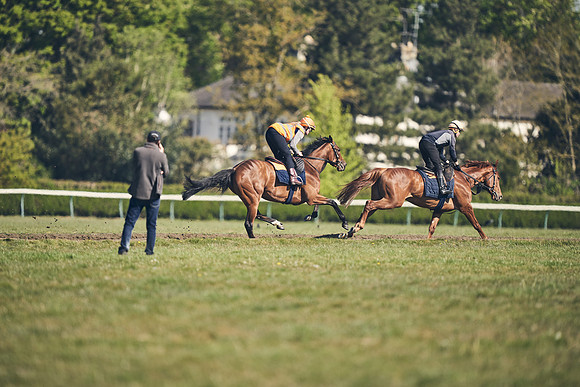NEWMARKET-GALLOPS-22nd-APRIL-DJ-4209