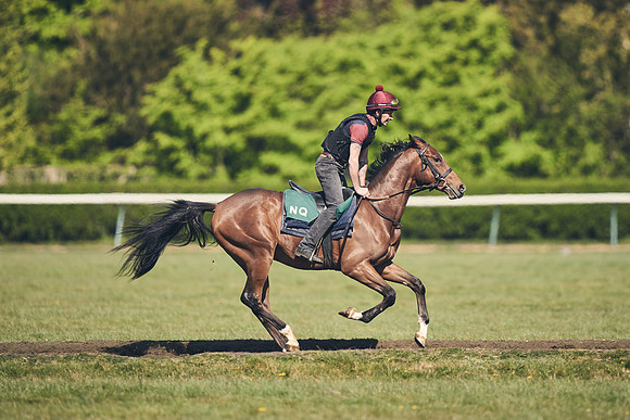 NEWMARKET-GALLOPS-22nd-APRIL-DJ-4229