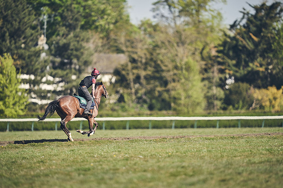NEWMARKET-GALLOPS-22nd-APRIL-DJ-4260