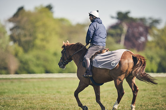 NEWMARKET-GALLOPS-22nd-APRIL-DJ-4288