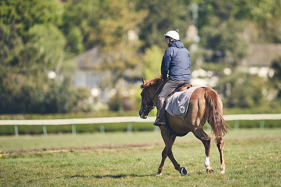NEWMARKET-GALLOPS-22nd-APRIL-DJ-4298