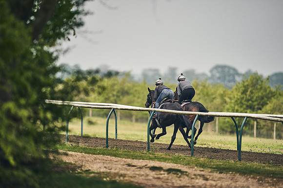 NEWMARKET-GALLOPS-24nd-APRIL-DJ-1063
