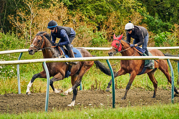 2021-08-07-Dominic-James-0774